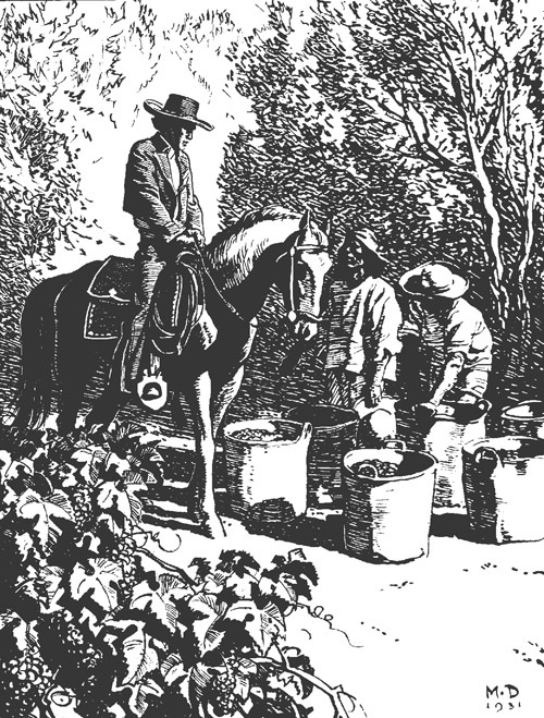 Woodcut illustration of a ranchero and laborers