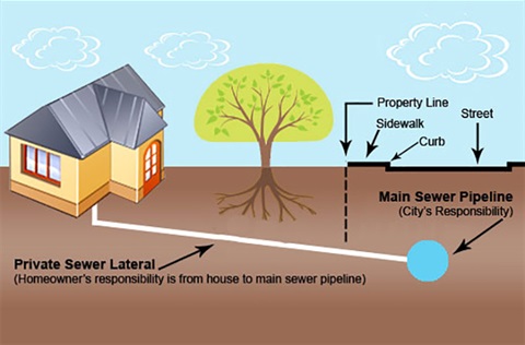 Graphic of sewer line from house to street
