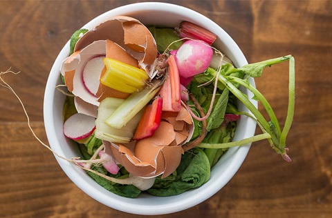 organic food waste in a small bin