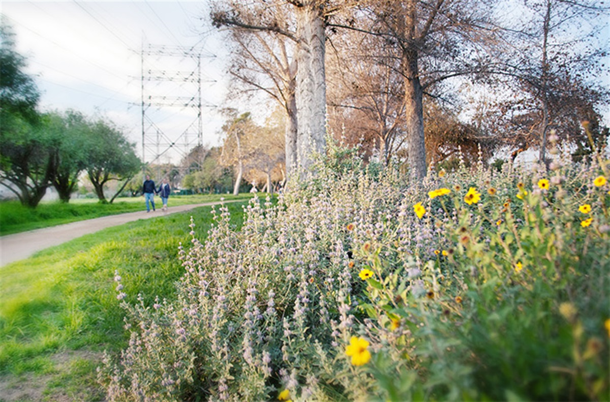 touch of nature bike trails