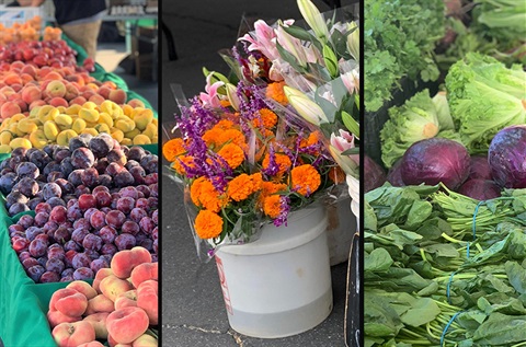 examples of produce and flowers at Farmers Market