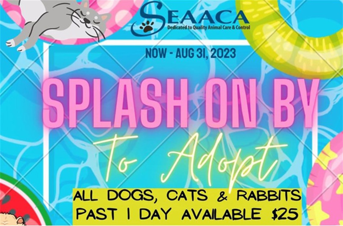 SEAACA Splash On By adoption promotion