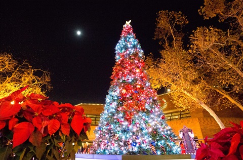 Decorated lit tree displayed against night sky at Civic Center
